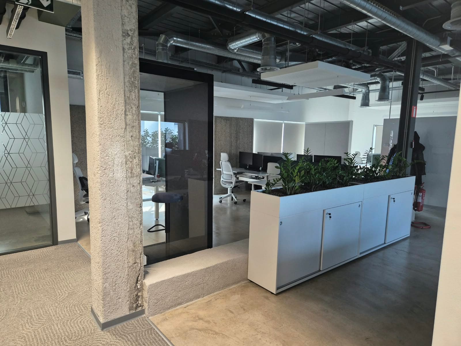 Fitted-out office floor with glazed meeting rooms.