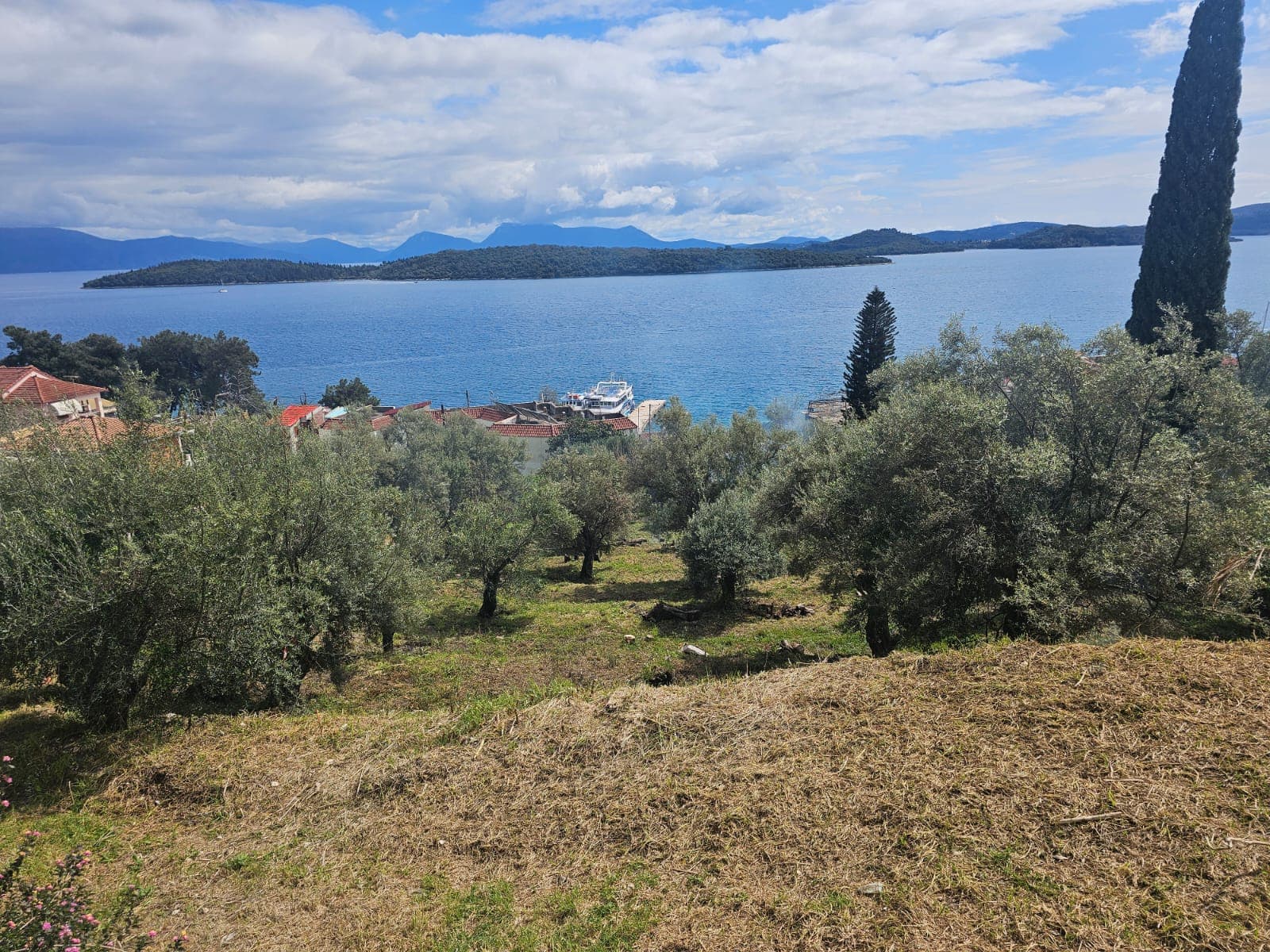 The view from the plot across the olive trees to the channel.